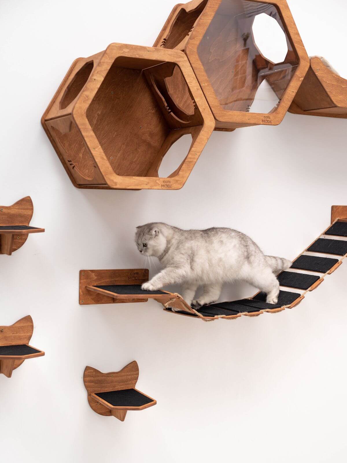 rope bridge for oak color with grey cat walking onit