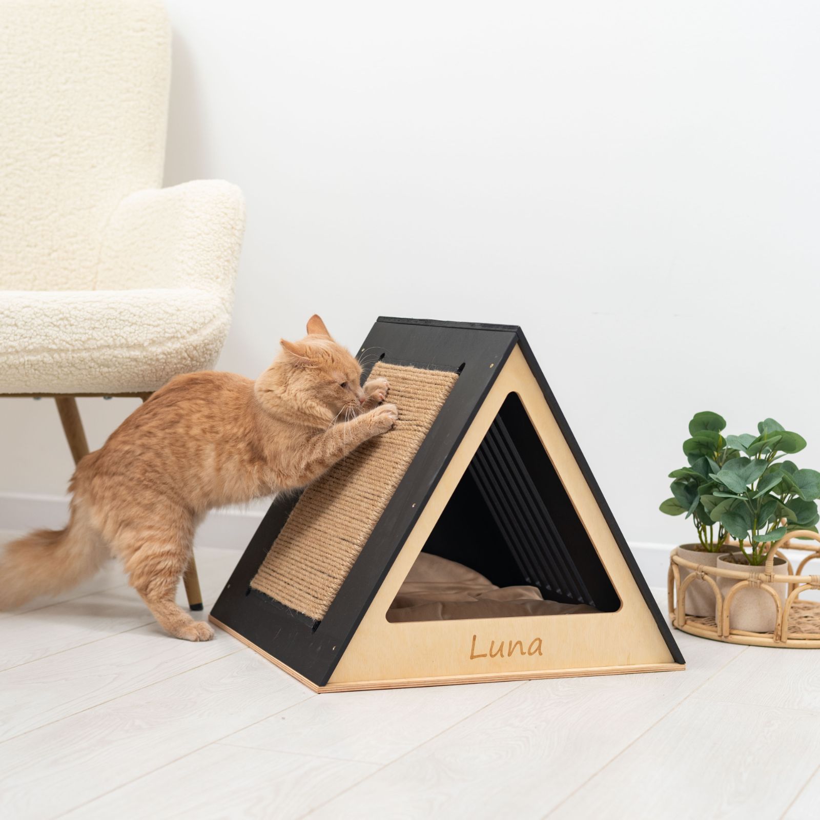 custom cat house