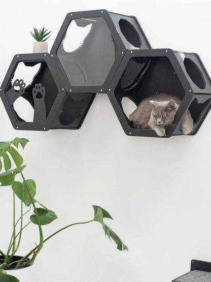 three wall mount cat shelves in black color with cat 