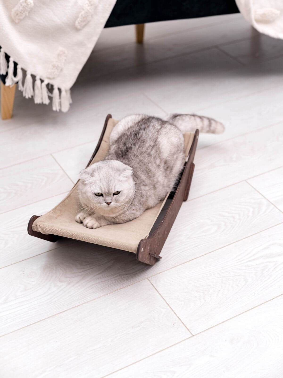 floor cat hammock