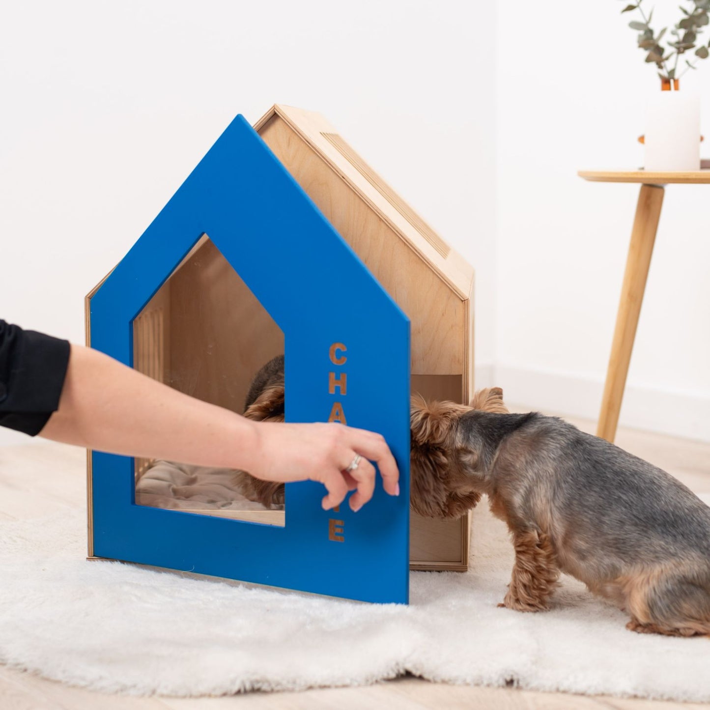 small dog house