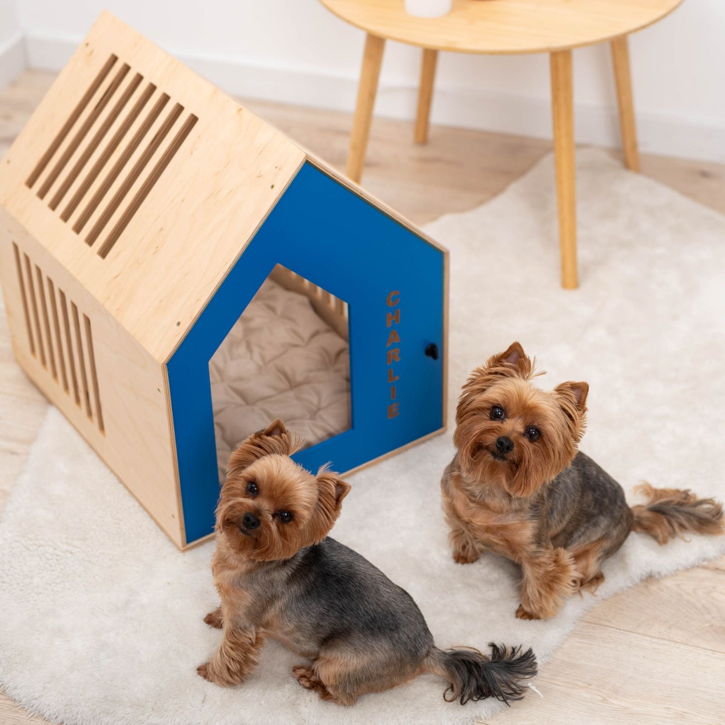 indoor dog houses